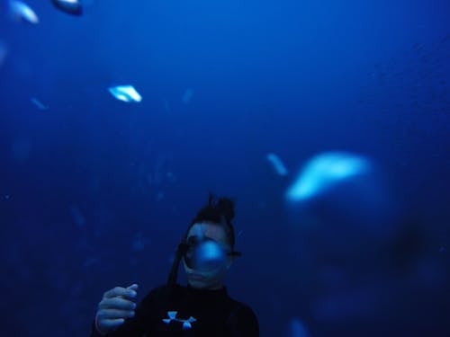 Free Man Underwater Stock Photo