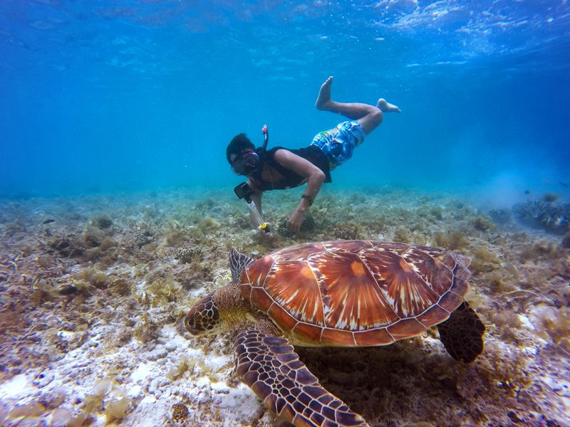 Diver exploring a vibrant coral reef alongside a sea turtle in tropical waters.