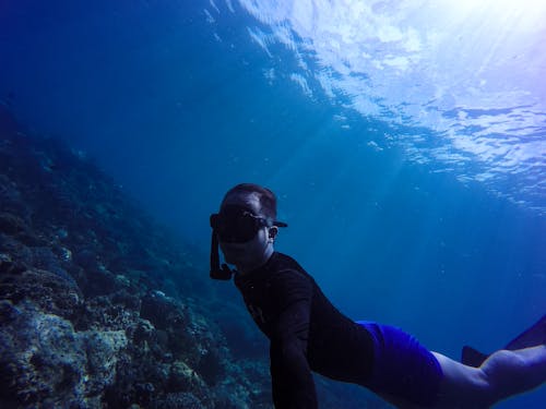 Free Snorkeling Man Underwater Photography Stock Photo