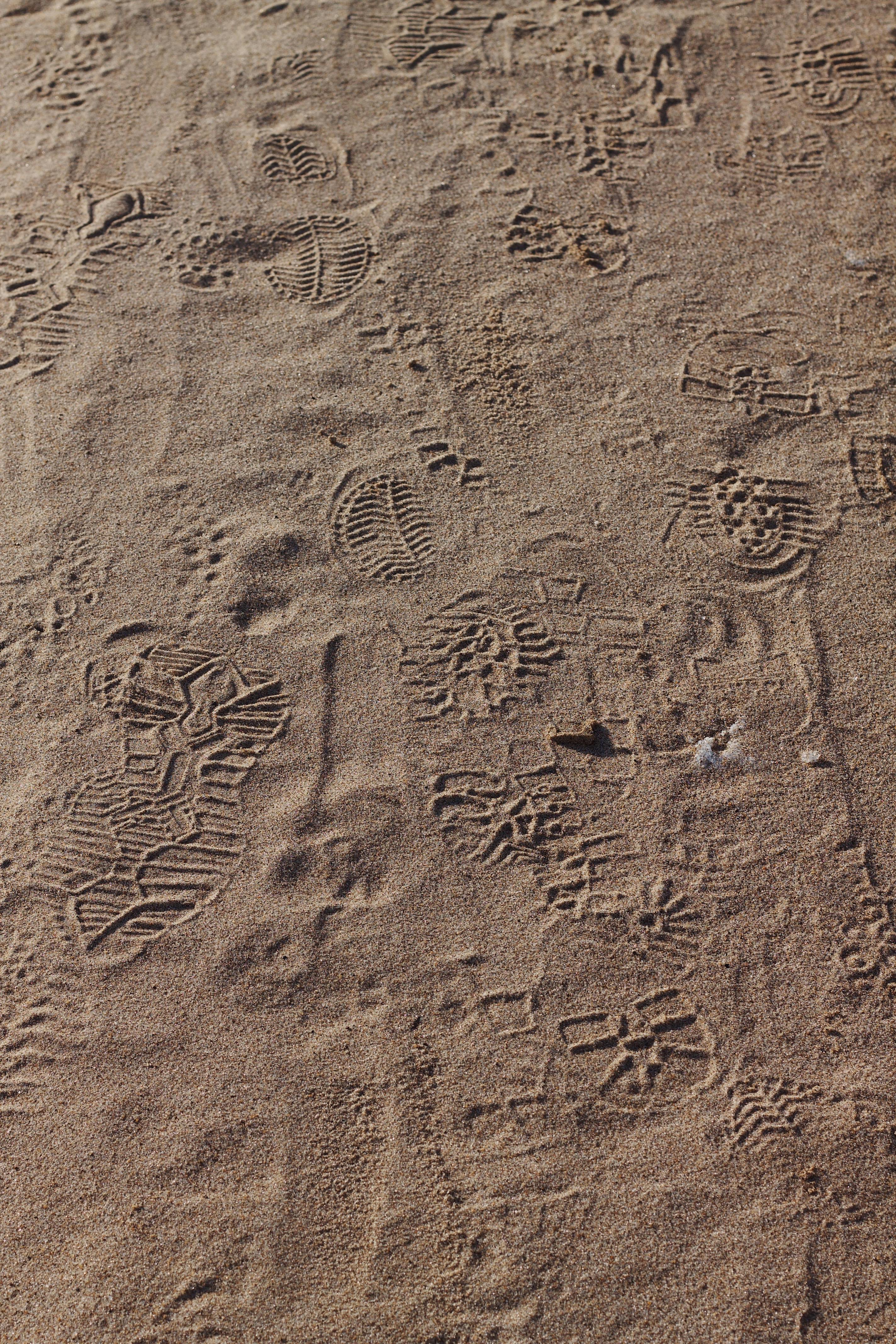 Footprints in sandy soil create varied patterns in Saratov, Russia.
