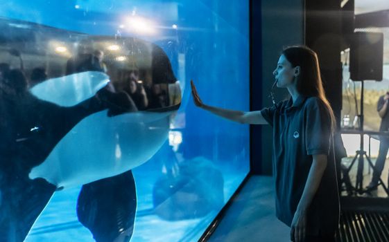 Ottawa Animal Advocates React as Ex-Marineland Beluga Dies in US