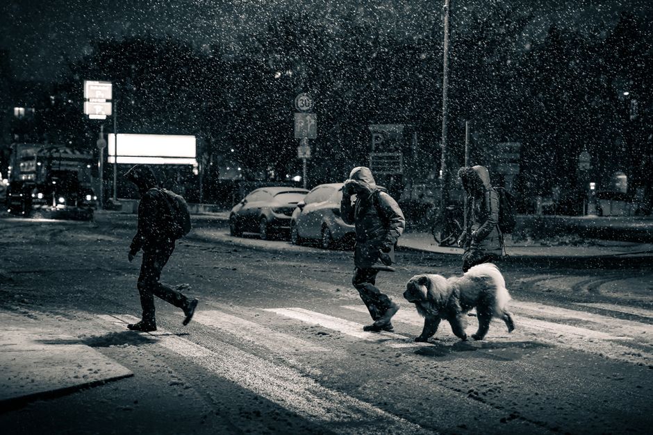 Snowy Berlin street with silhouetted pedestrians and a large dog crossing at night.