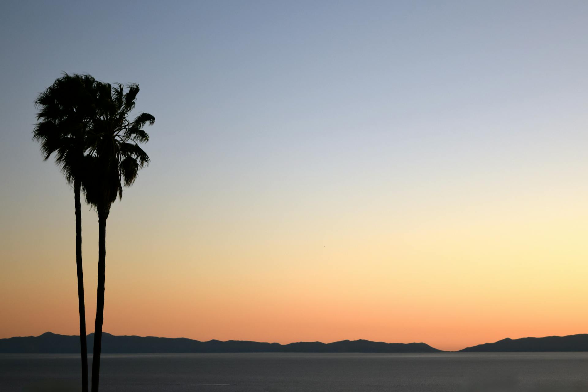 Free stock photo of beach sunset, catalina island, los angeles