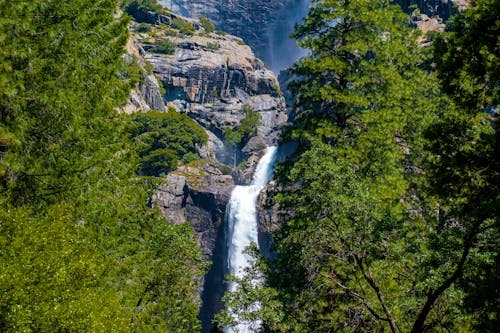 Cascate Sulla Montagna Rocciosa Vicino Alberi A Foglia Verde