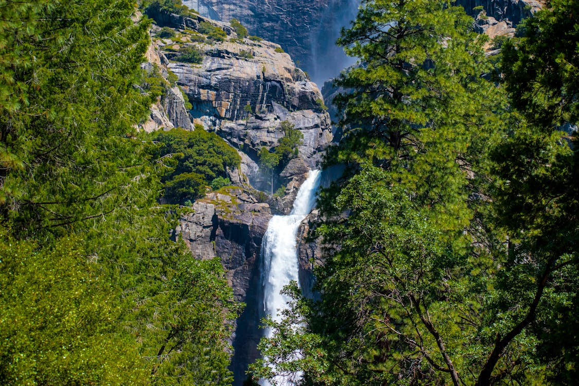 Cascate Sulla Montagna Rocciosa Vicino Alberi A Foglia Verde