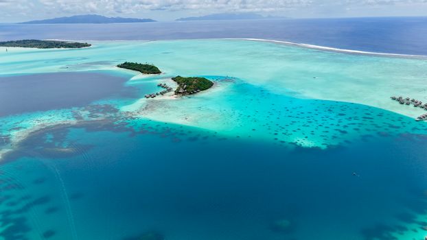 Private lagoon boat + shark feed — Bora Bora