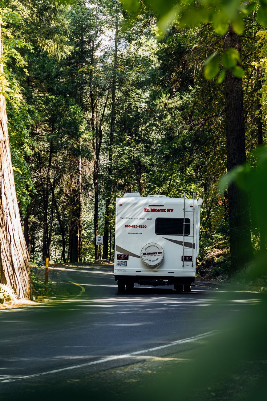 RV parked along a scenic road through a forest