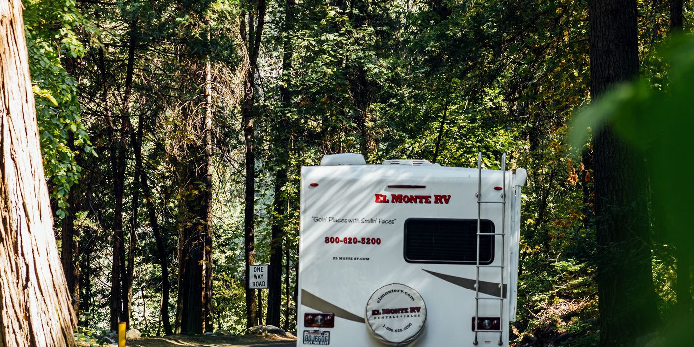 A motorhome on the road, sidewall graphics catching the light