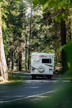 白色房车穿过蜿蜒山路旁的郁郁葱葱森林