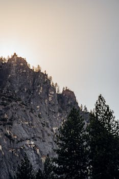 日出时分，岩石山峰的景色显得格外壮观，前景是几棵松树