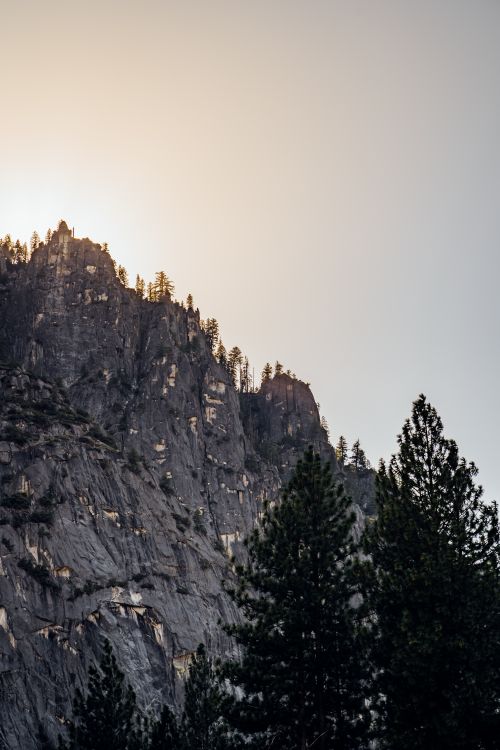 Free Dramatic view of a rocky mountain peak at sunrise with pine trees in the foreground. Stock Photo