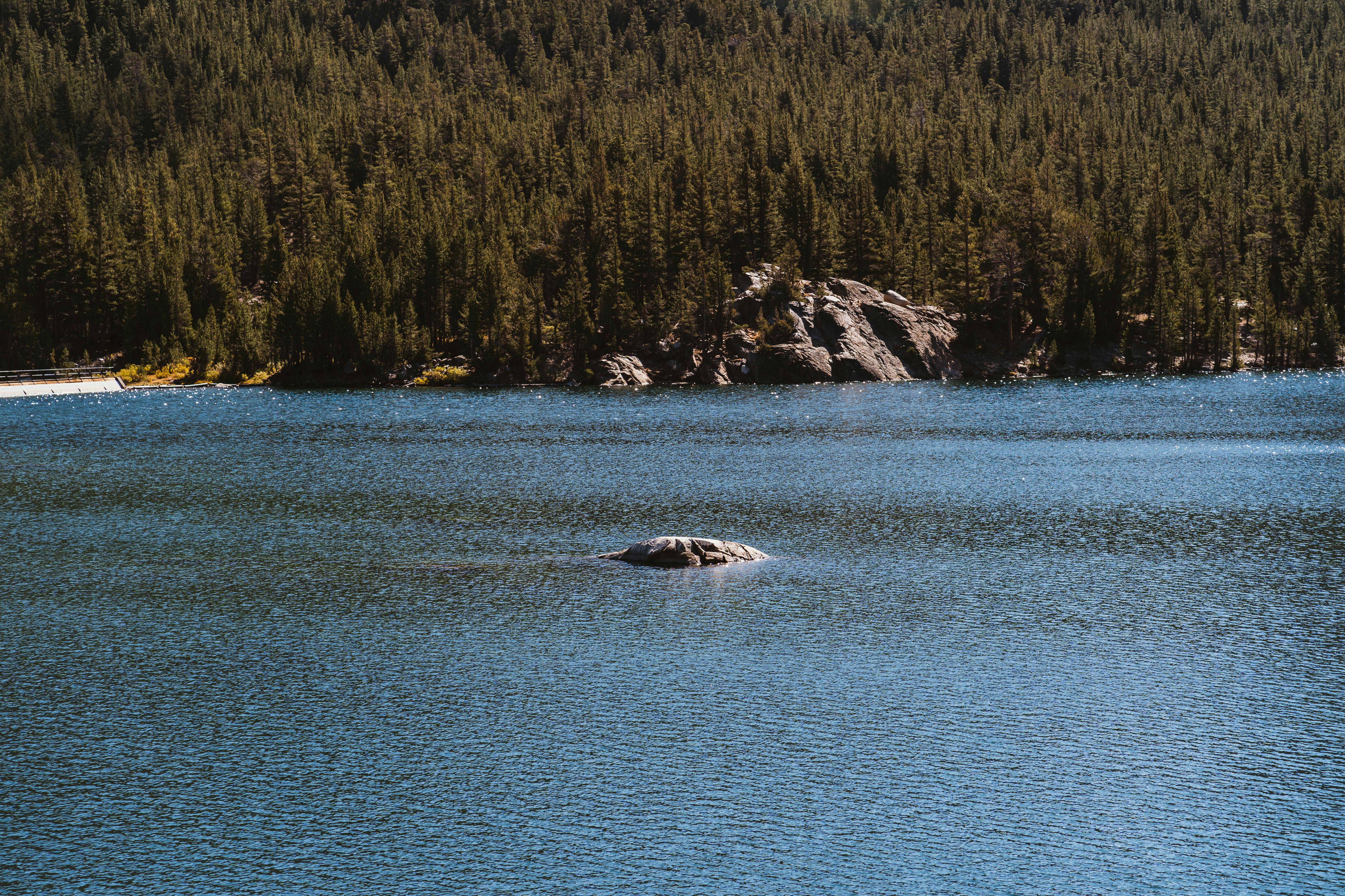 这片宁静的湖泊被茂密的森林环绕，非常适合自然和户外爱好者