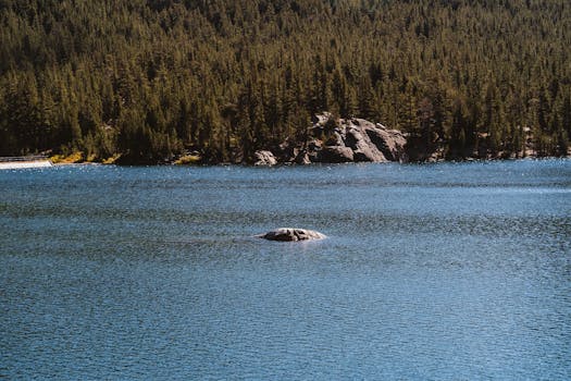 这片宁静的湖泊被茂密的森林环绕，非常适合自然和户外爱好者