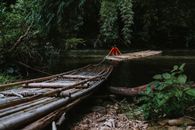 一个人在风景优美的雨林河流中漂流，四周竹林环绕