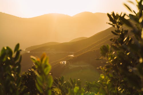 산의 실루엣