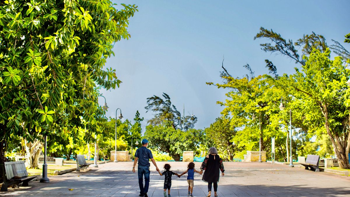 Family walking hand in hand through a sunlit park filled with vibrant greenery.