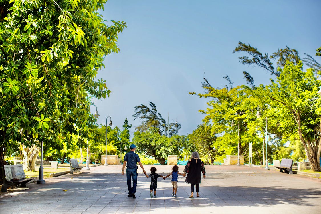 A Family Walking In The Park