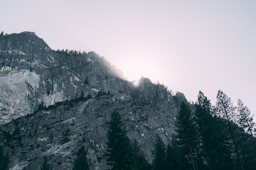 崎岖的山峦与树木在日出中形成戏剧性的剪影