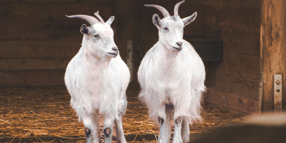 Khám Phá Những Game Hay Nhất - Trải Nghiệm Thú Vị Không Thể Bỏ Lỡ