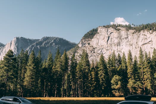 阳光明媚的日子里，捕捉到了高耸的岩石山脉和郁郁葱葱的树木，景色令人惊叹