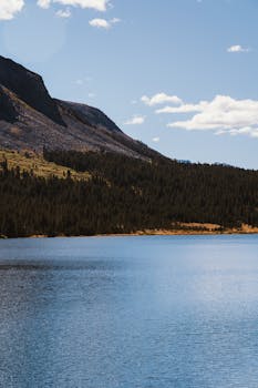 松树环绕的山间湖泊，在蔚蓝的天空下景色格外美丽