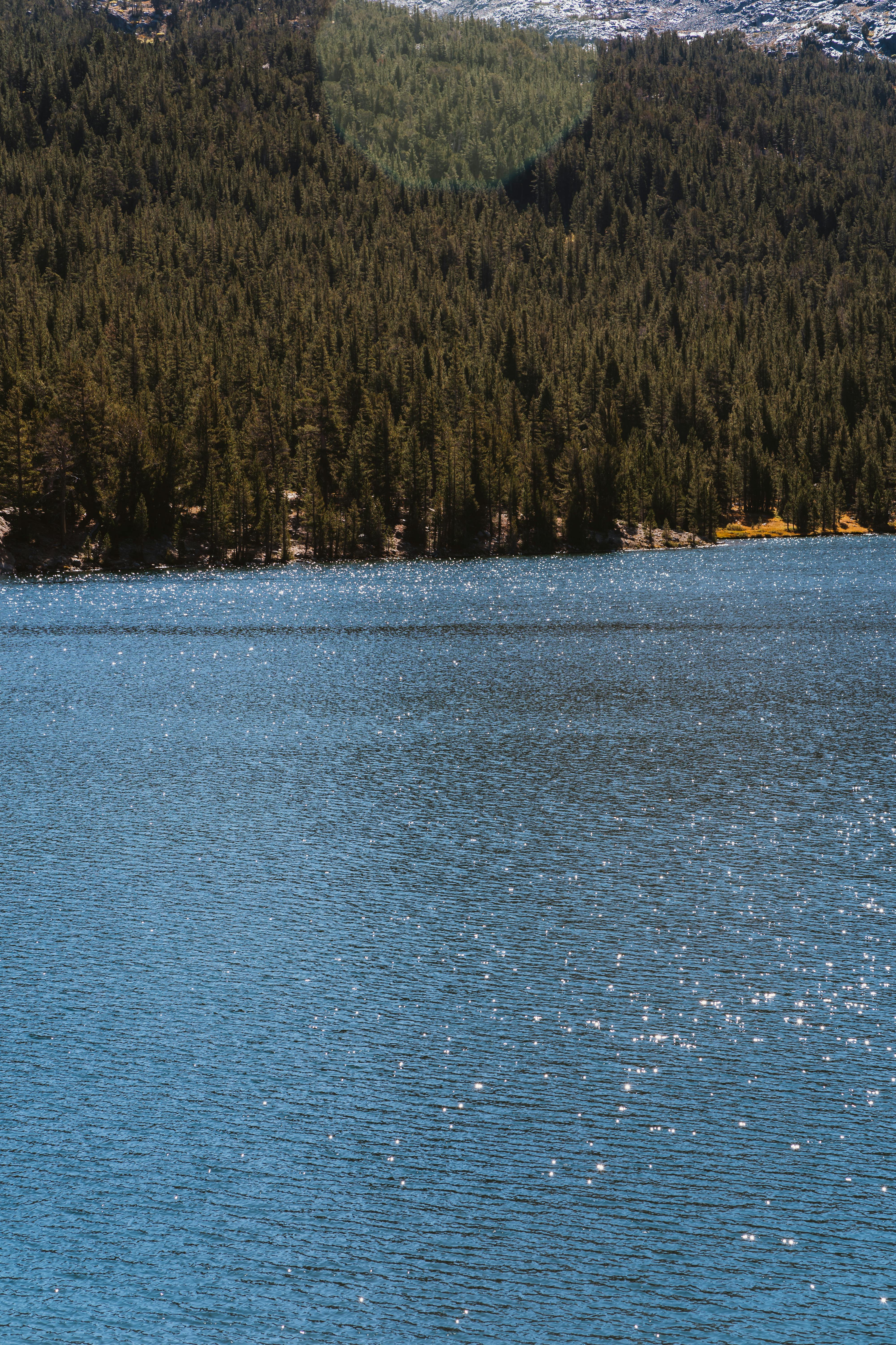 在晴朗的天空下，茂密的常绿森林环绕着美丽的山间湖泊