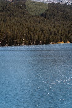 在晴朗的天空下，茂密的常绿森林环绕着美丽的山间湖泊