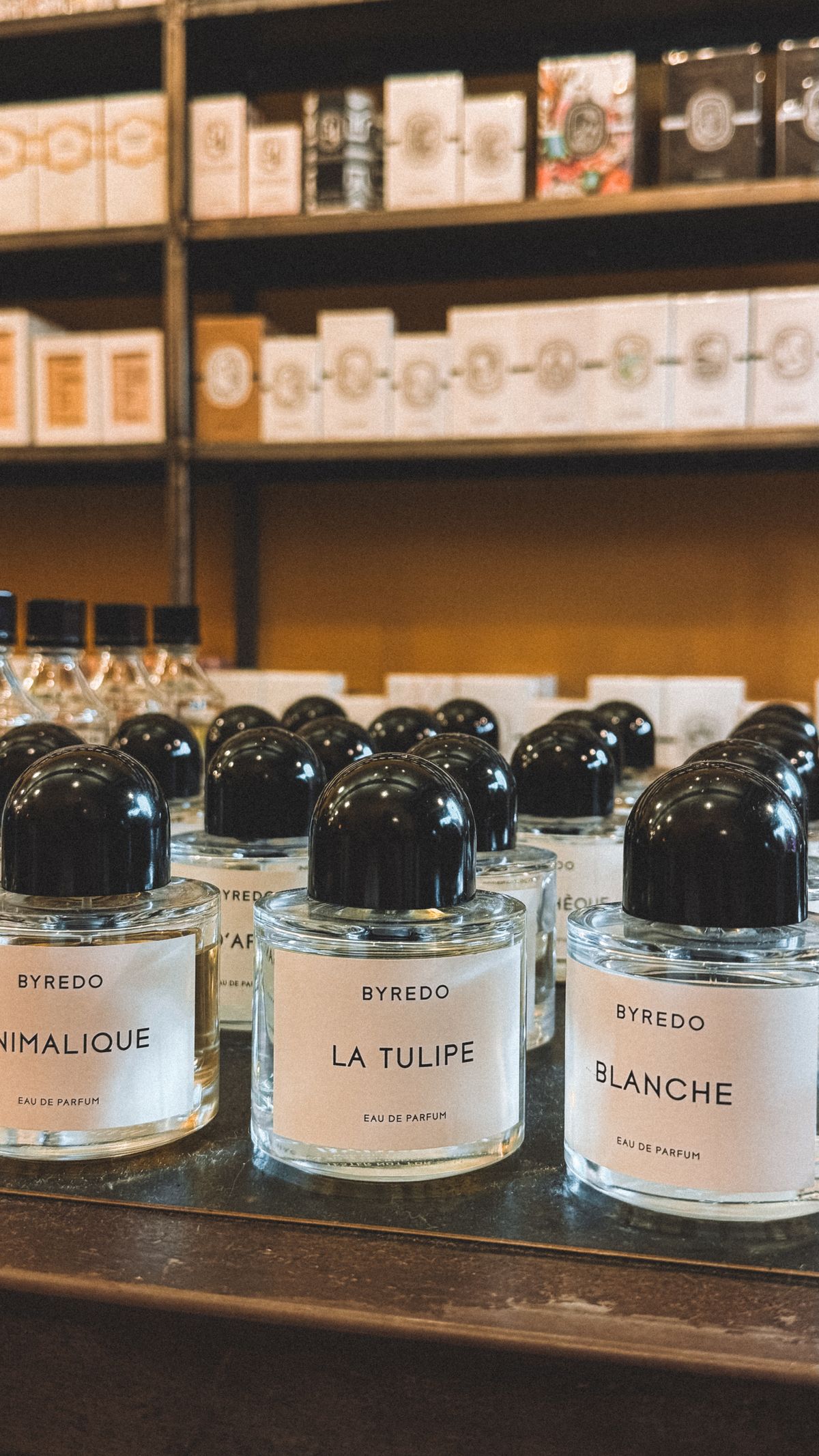 The Luxury Perfume Guide