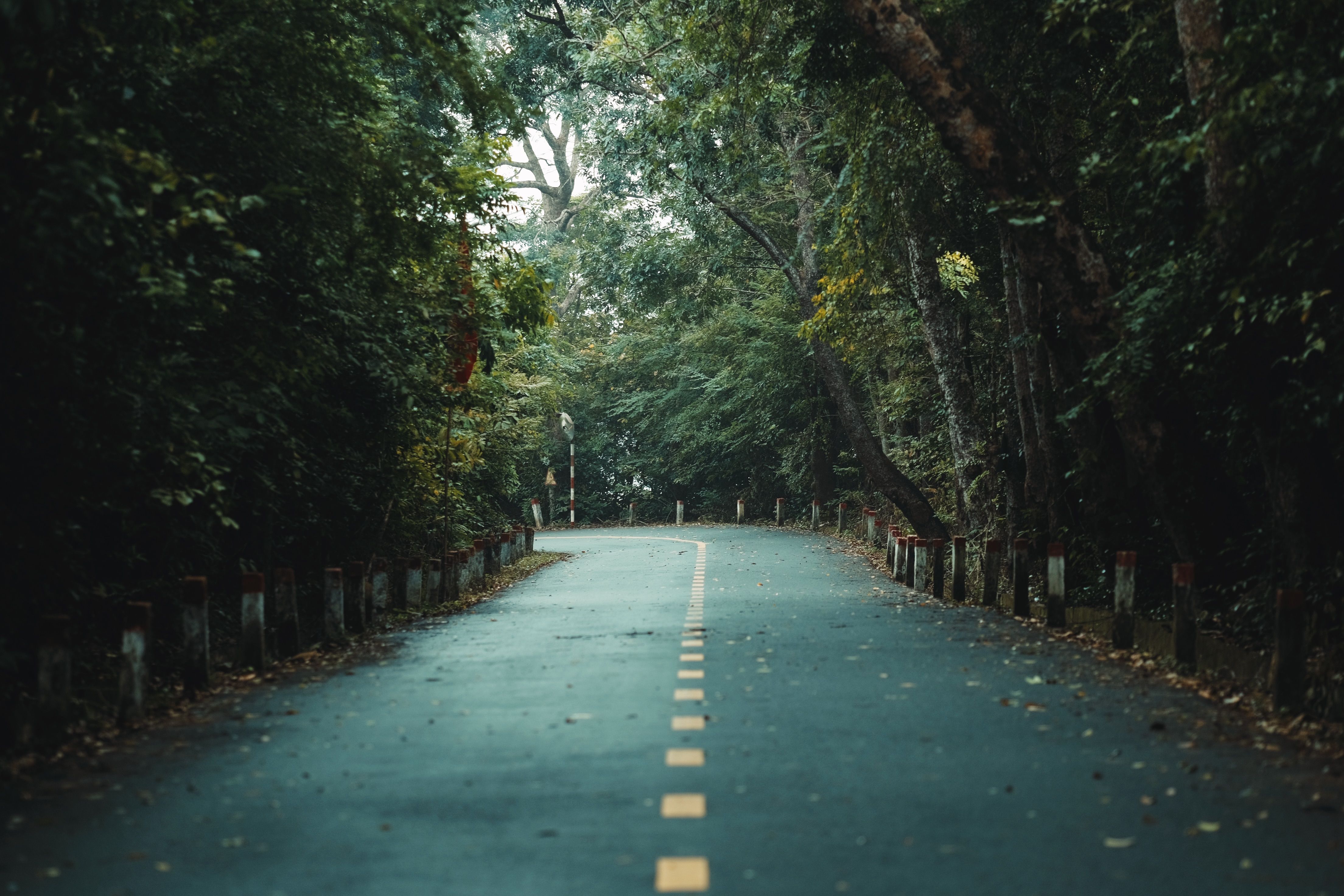 5 Secrets To Staying Persistent In Your Path To Success