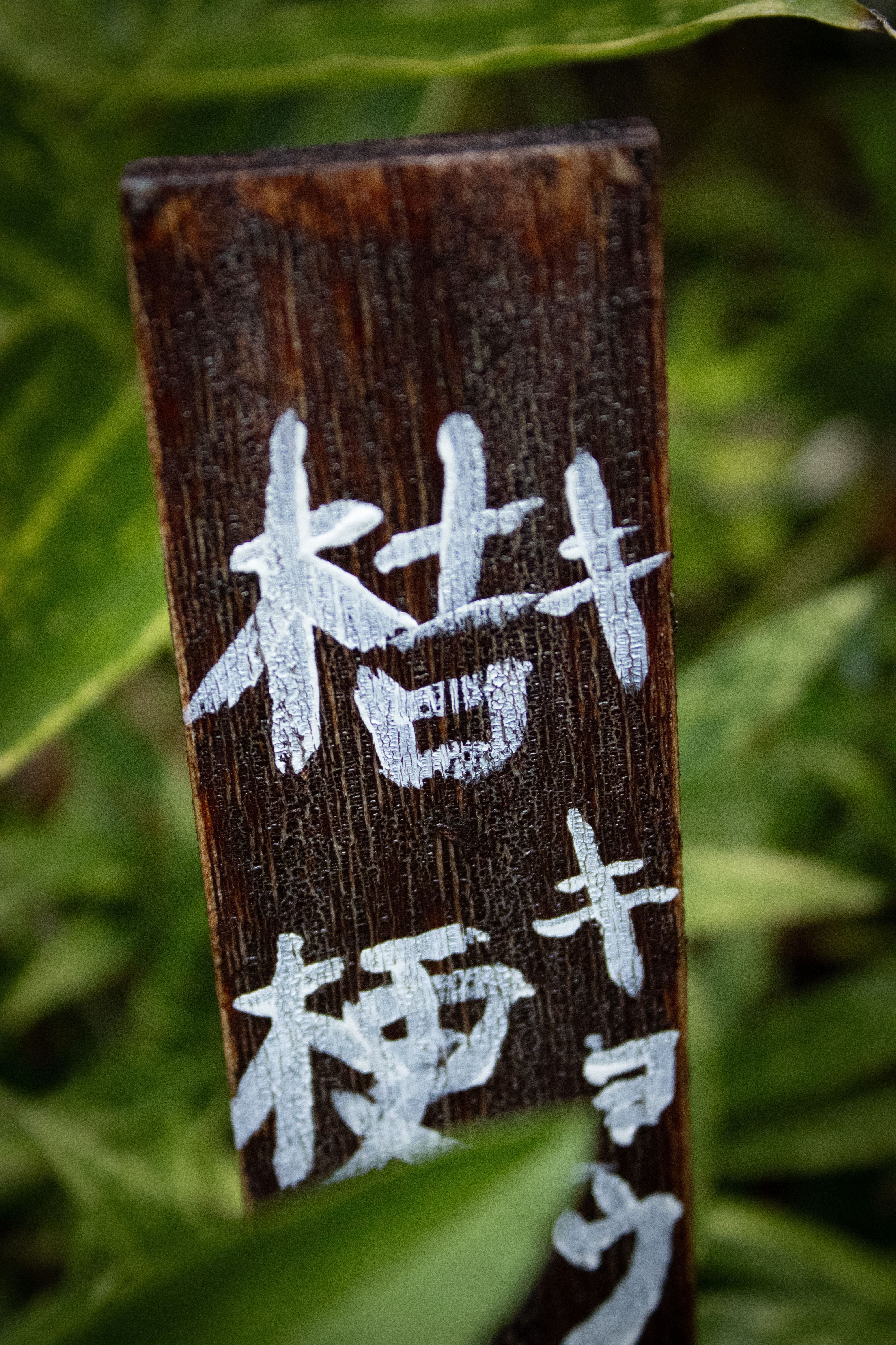 Wooden Sign with Japanese Characters in Nature · Free Stock Photo
