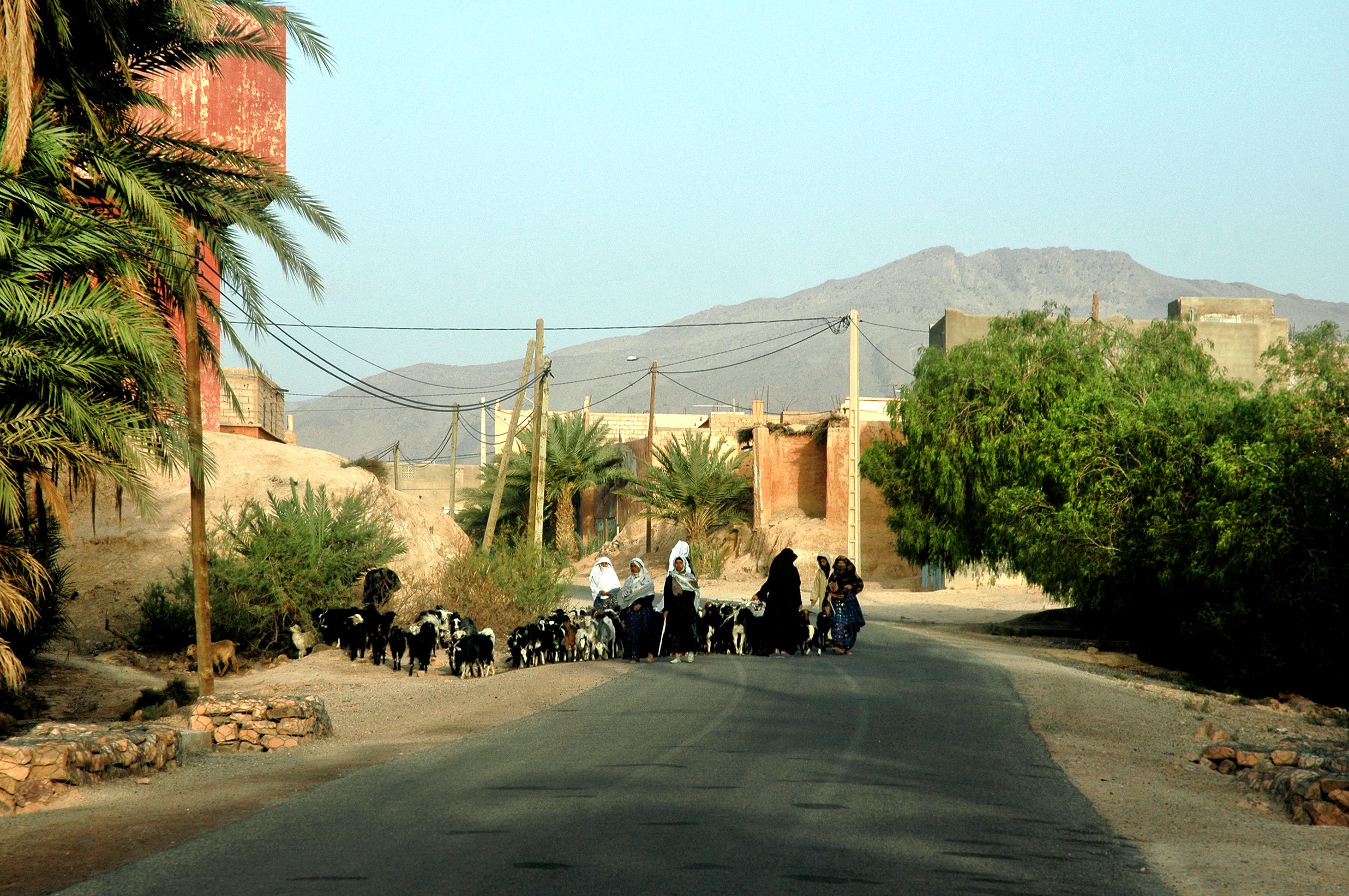 Rural Scene with Shepherds in Kerdouss, Morocco · Free Stock Photo