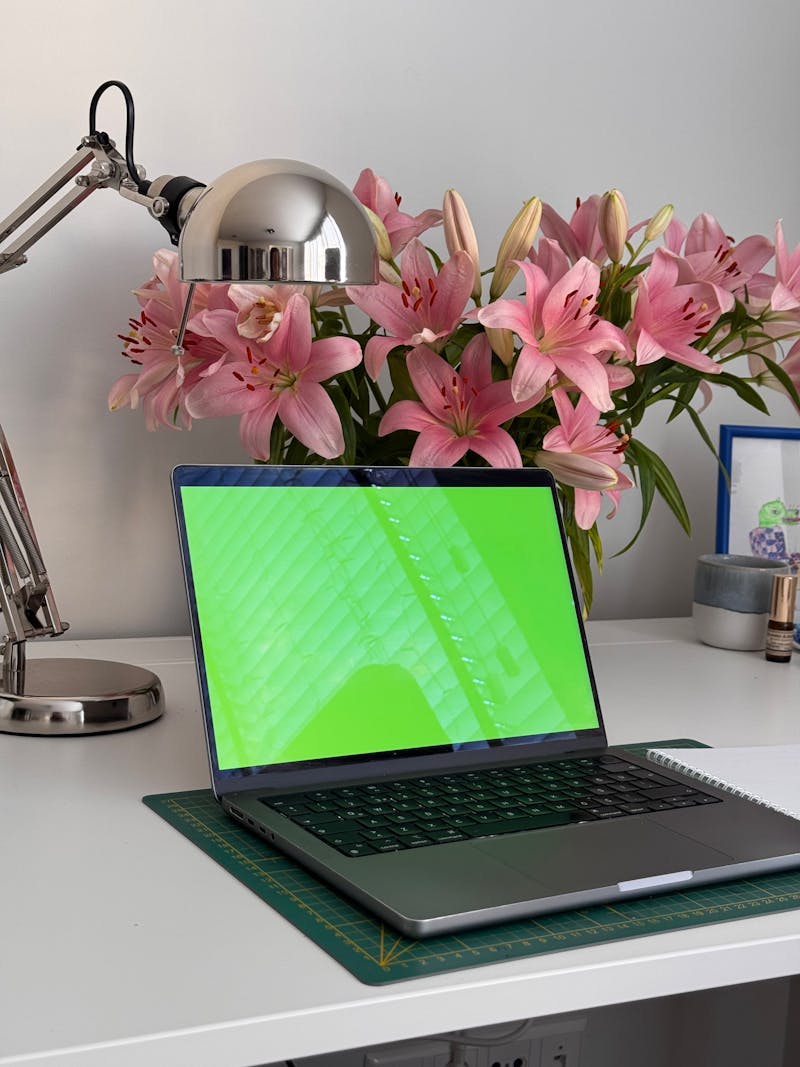 Laptop dp photos download the best free laptop dp stock photos hd images