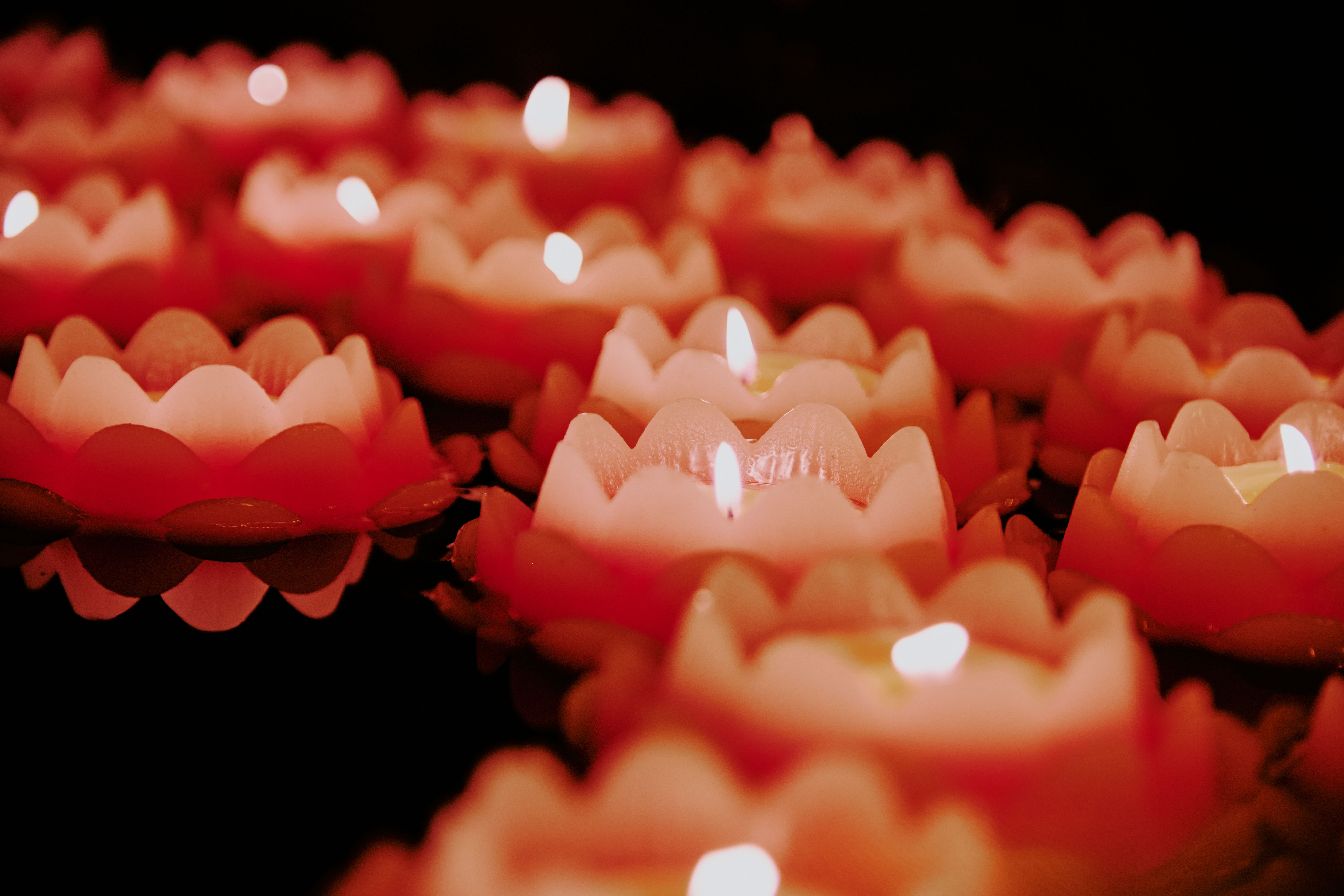 Peaceful scene of floating lotus candles with soft flickering flames creating a warm ambiance.