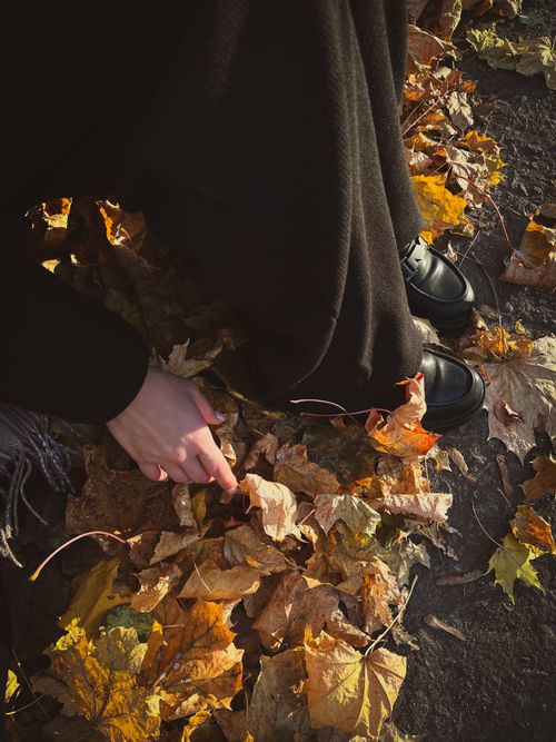 Free Close-up of a hand touching autumn leaves with black shoes on pavement. Stock Photo