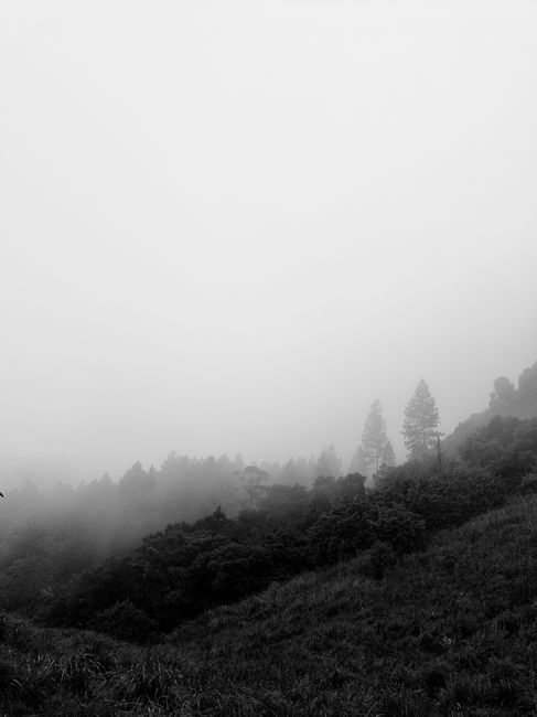 A tranquil view of mist-covered mountains in Sri Lanka, captured in black and white.