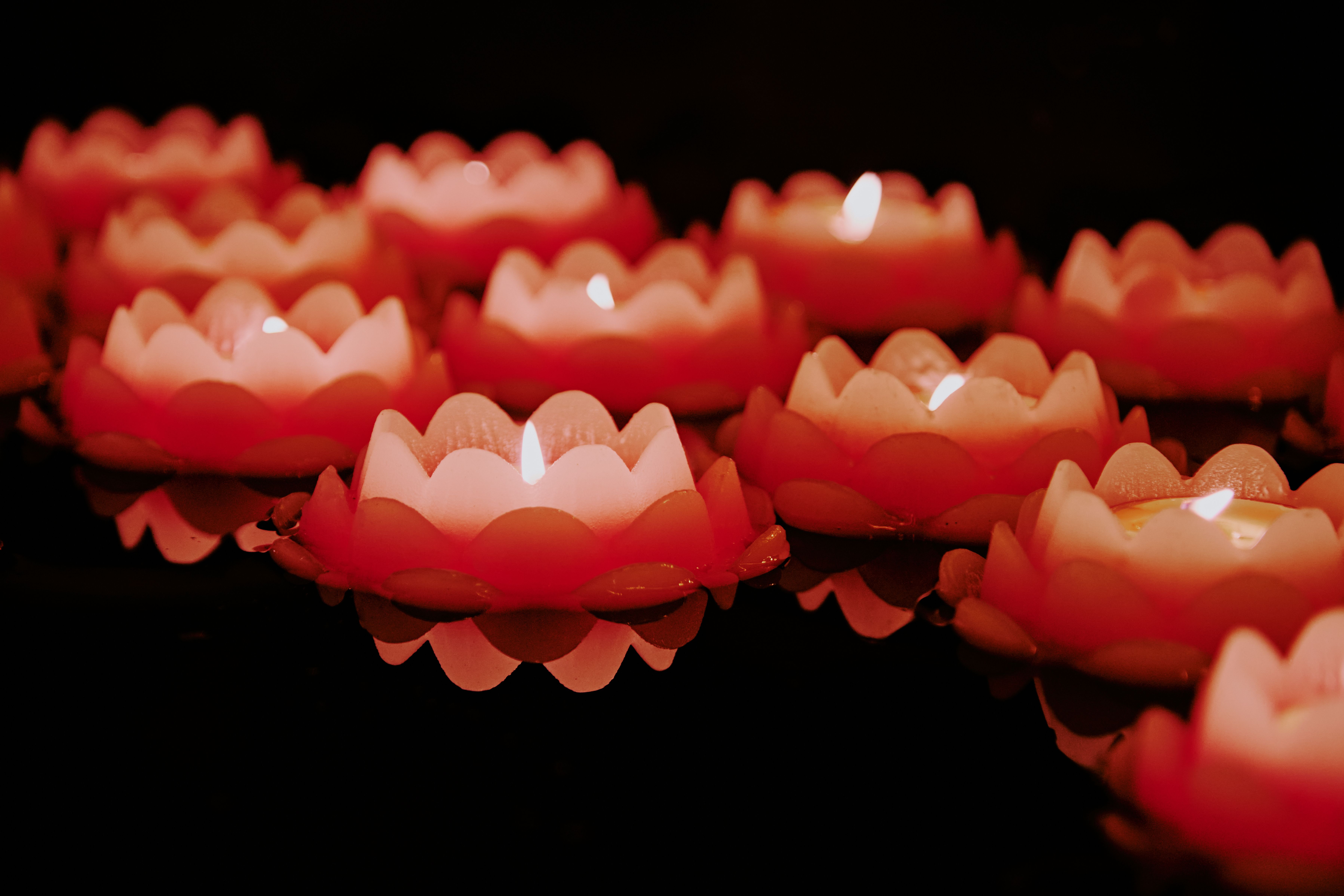 Lotus-shaped krathong floating on the Chao Phraya river at night with candle lit
