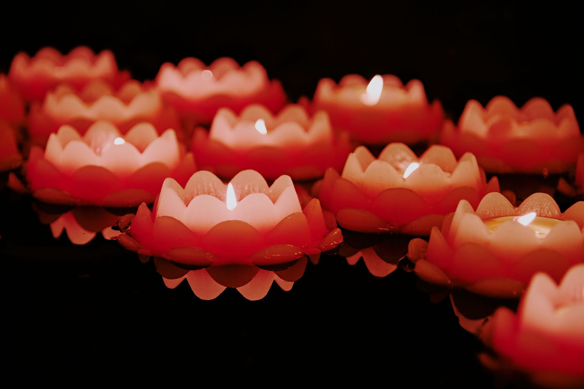 Lotus-shaped krathong floating on the Chao Phraya river at night with candle lit