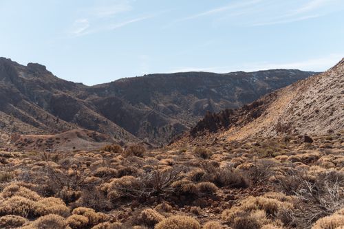 Free Explore the rugged volcanic terrain of the Canary Islands under a clear blue sky. Stock Photo