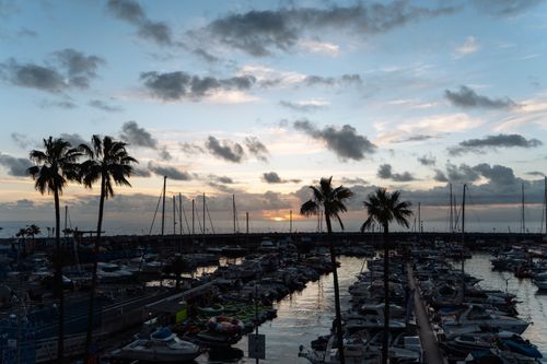 Free A tranquil harbor with sailboats at sunset in the Canary Islands. Stock Photo