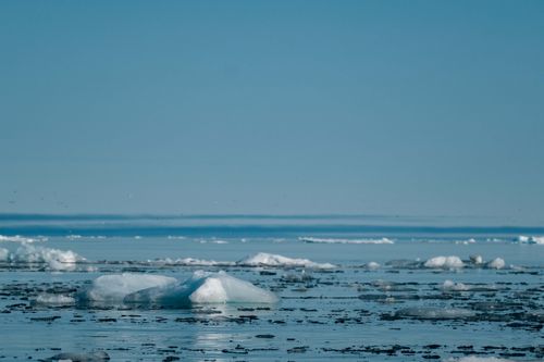 Free Tranquil scene of floating ice floes in a clear, blue Arctic seascape. Stock Photo