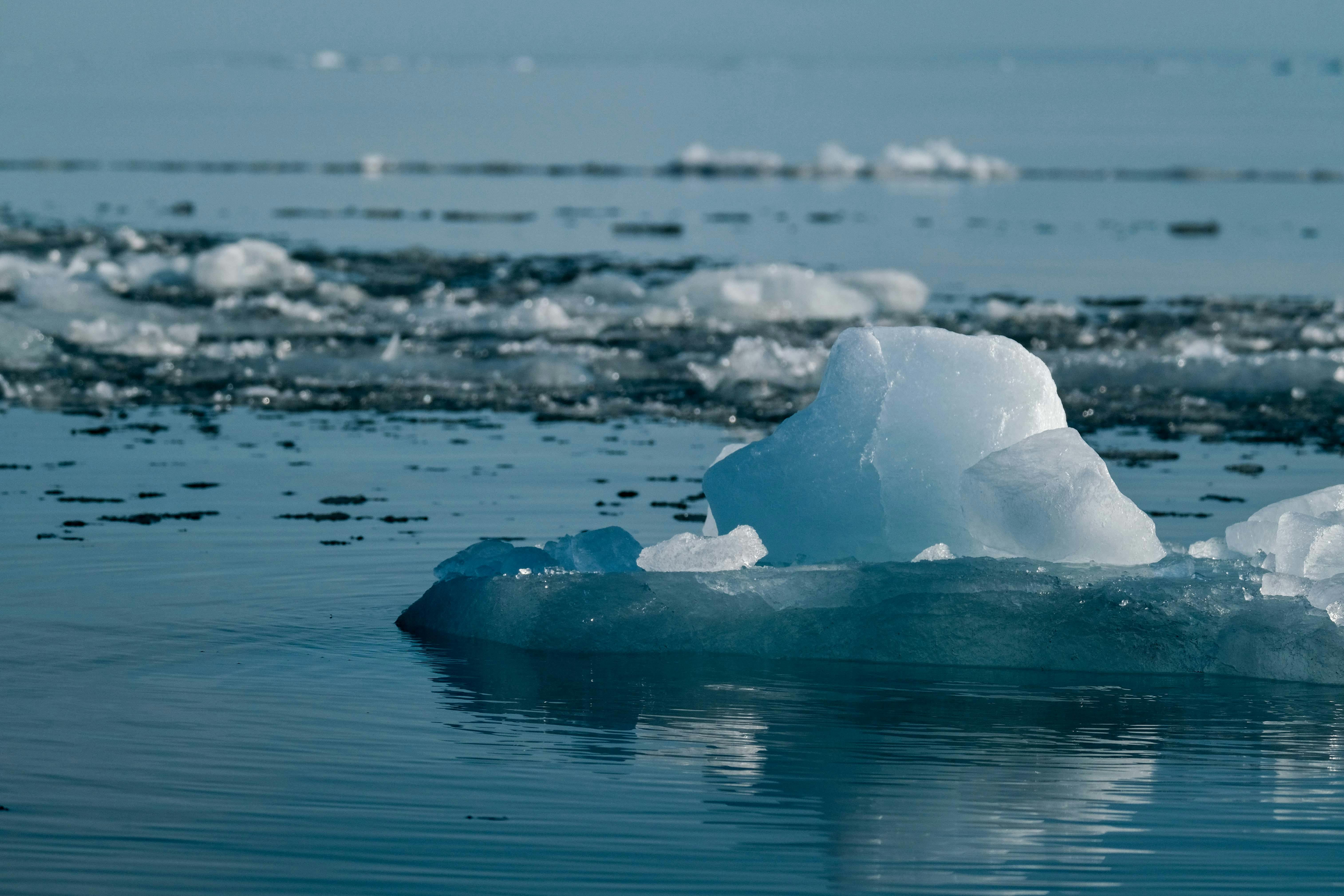 climate resilience, sea level rise, drought mitigation, ecosystem restoration, climate policy, Climate adaptation — Photo by 