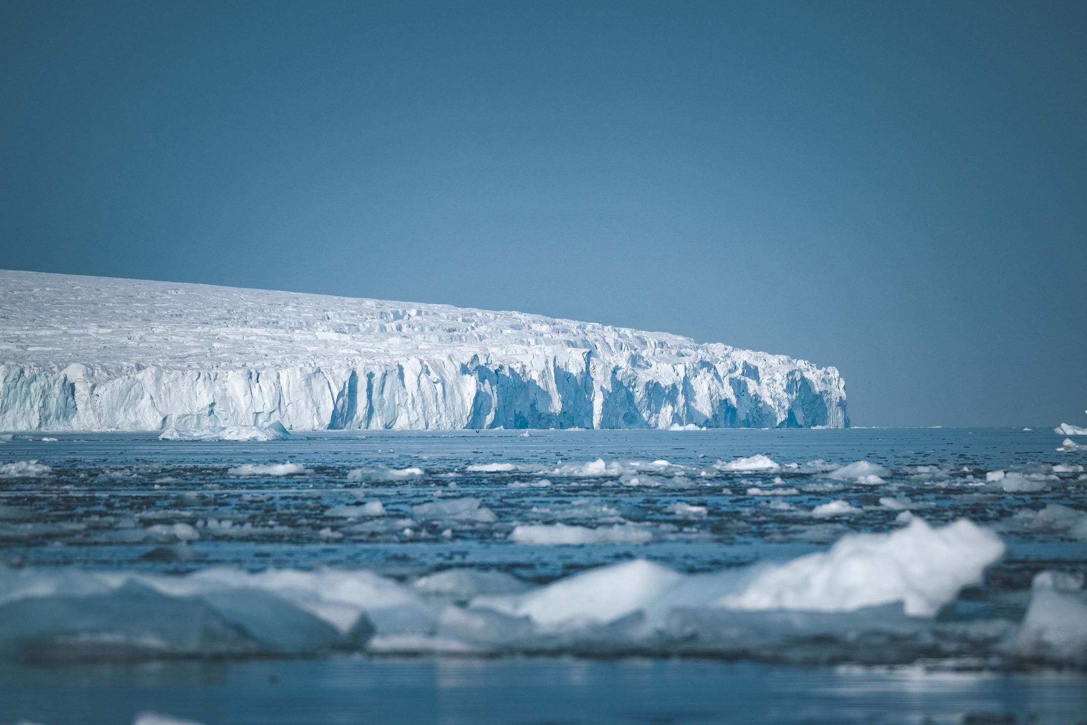 Towering Antarctic icebergs