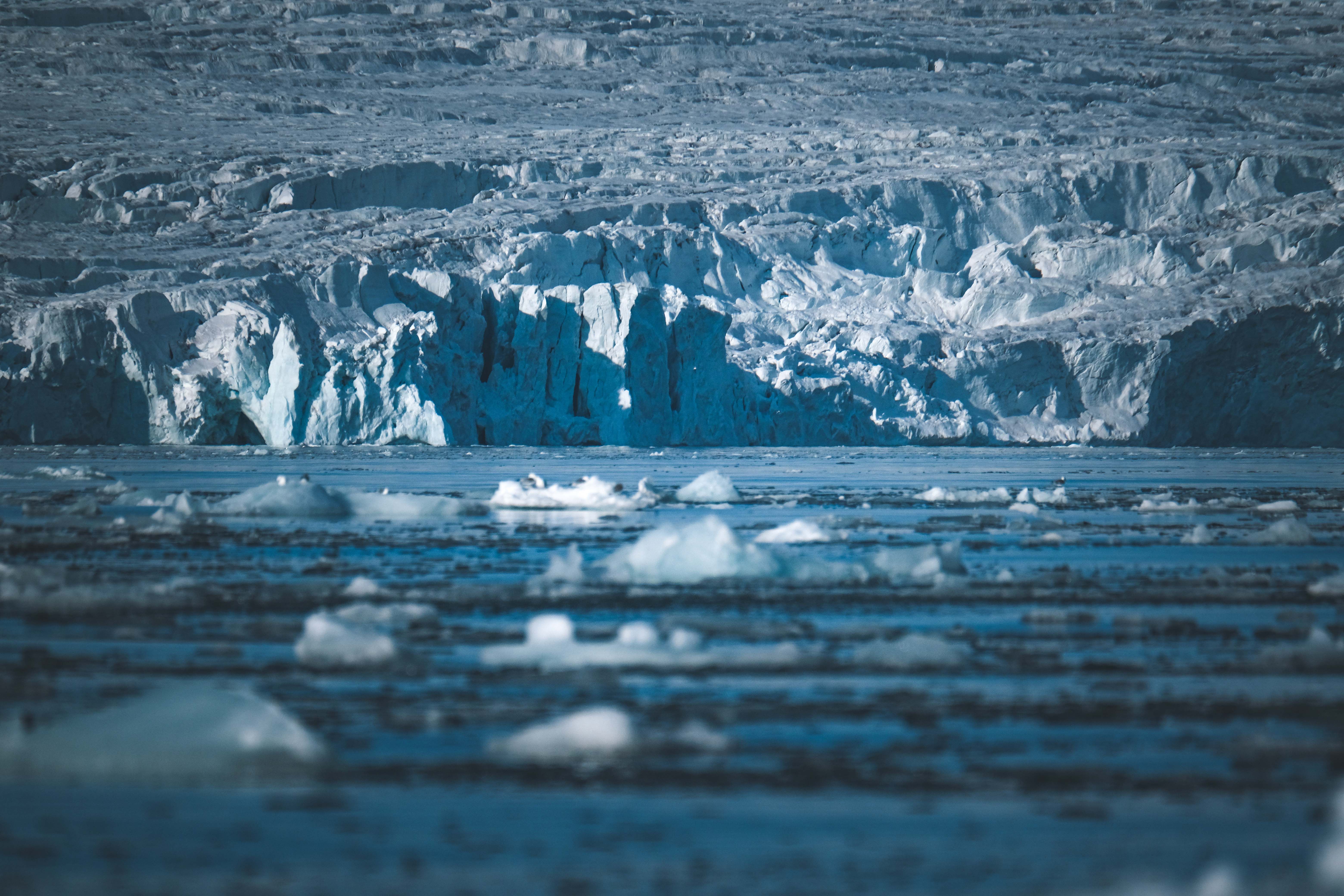A stunning view of Arctic icebergs floating in the sea against a massive glacier backdrop.