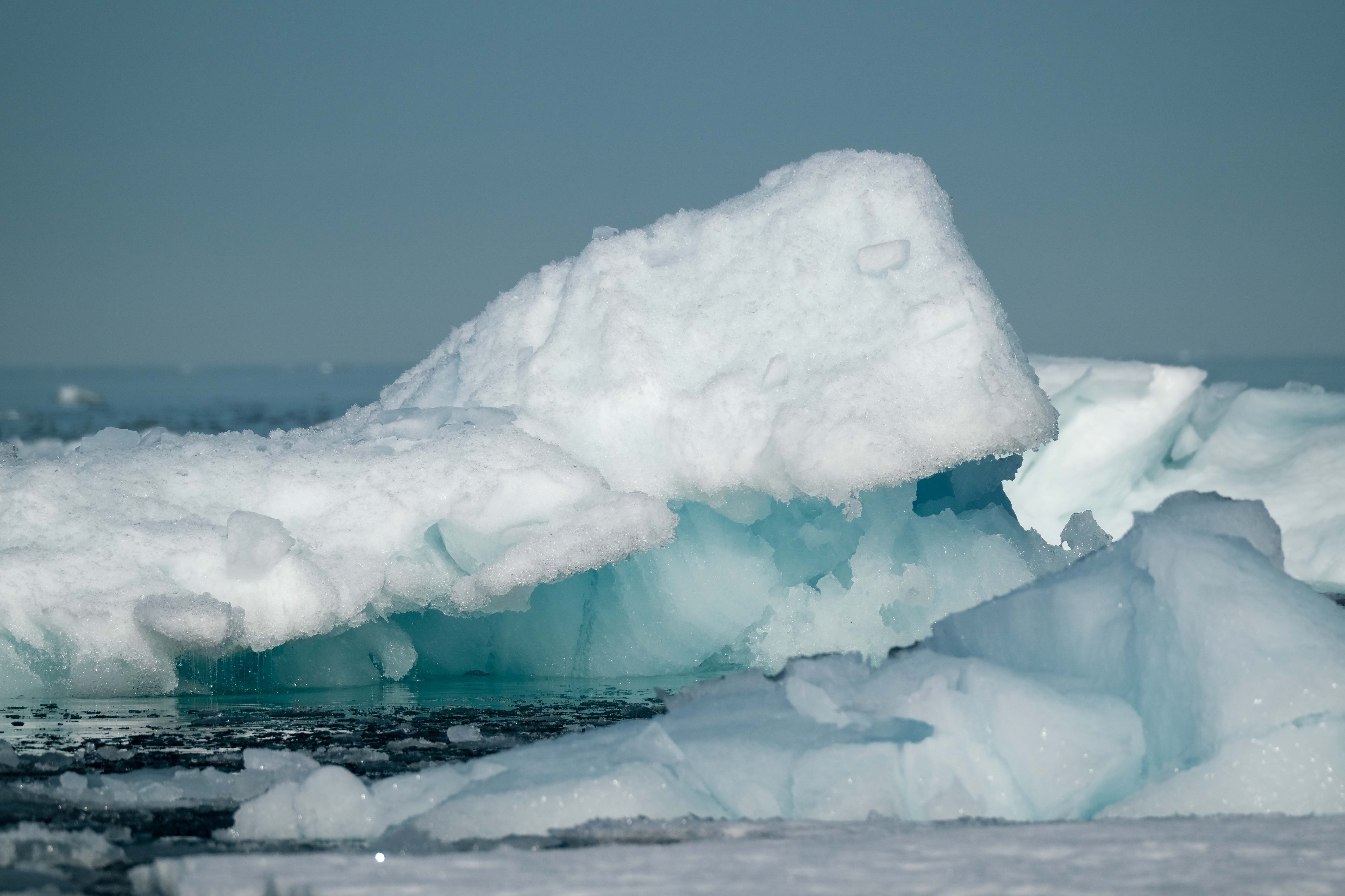 Rising Tides, Changing Seas: A Quiz on Ocean Temperature Impacts