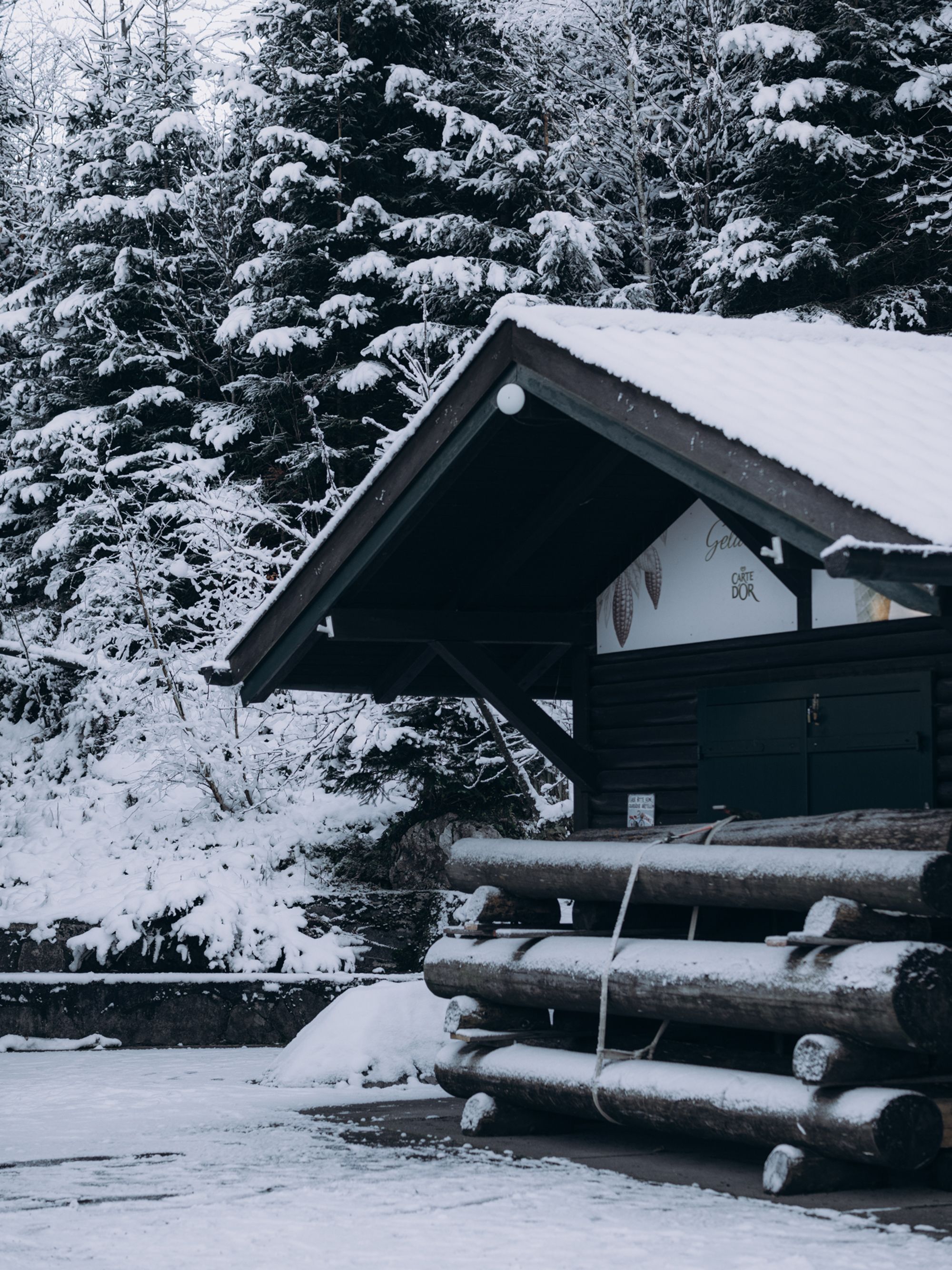 A rustic wooden cabin nestled in a snowy forest, showcasing winter tranquility.