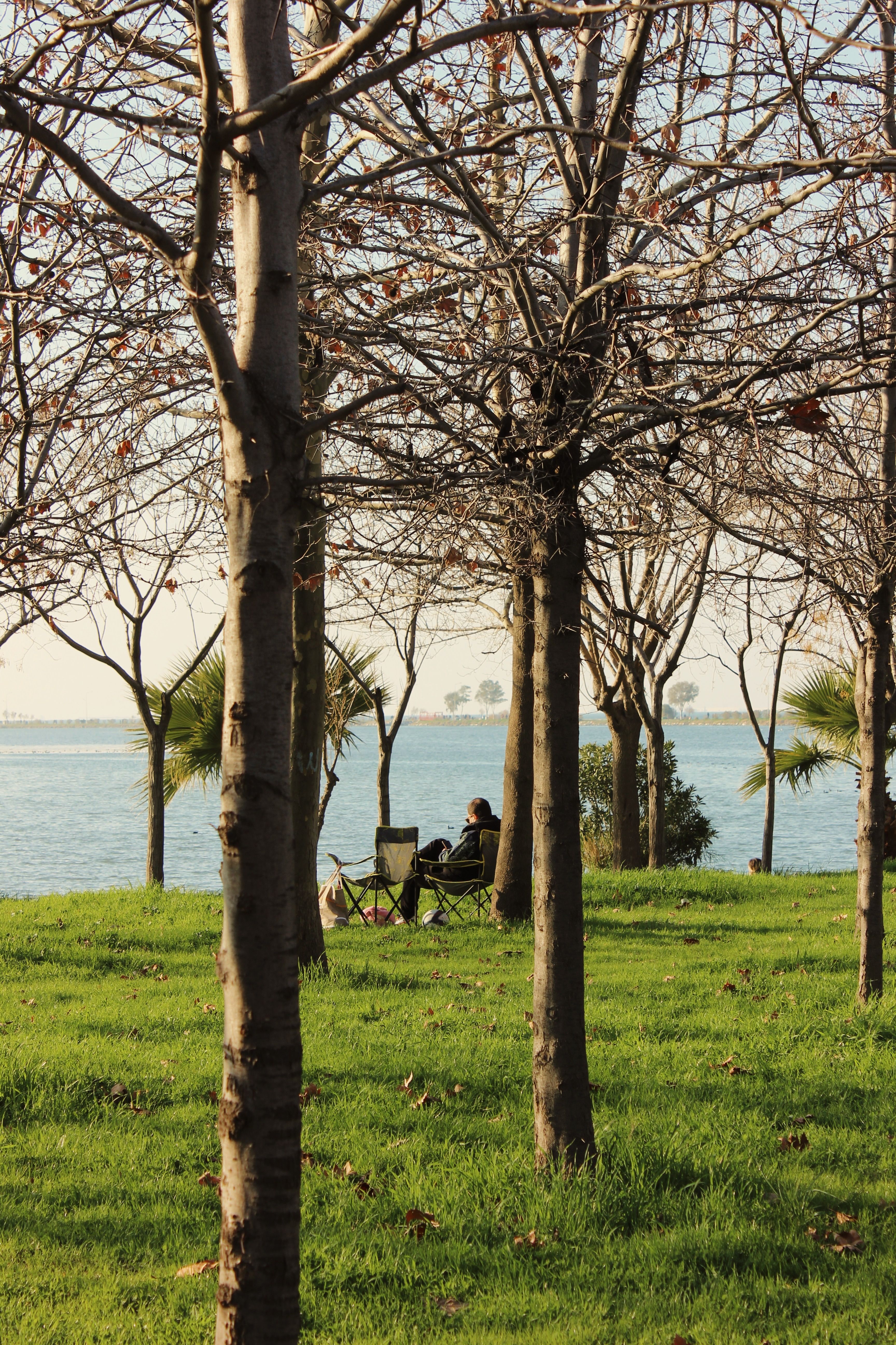 A Distance Photos, Download The BEST Free A Distance Stock Photos & HD ...