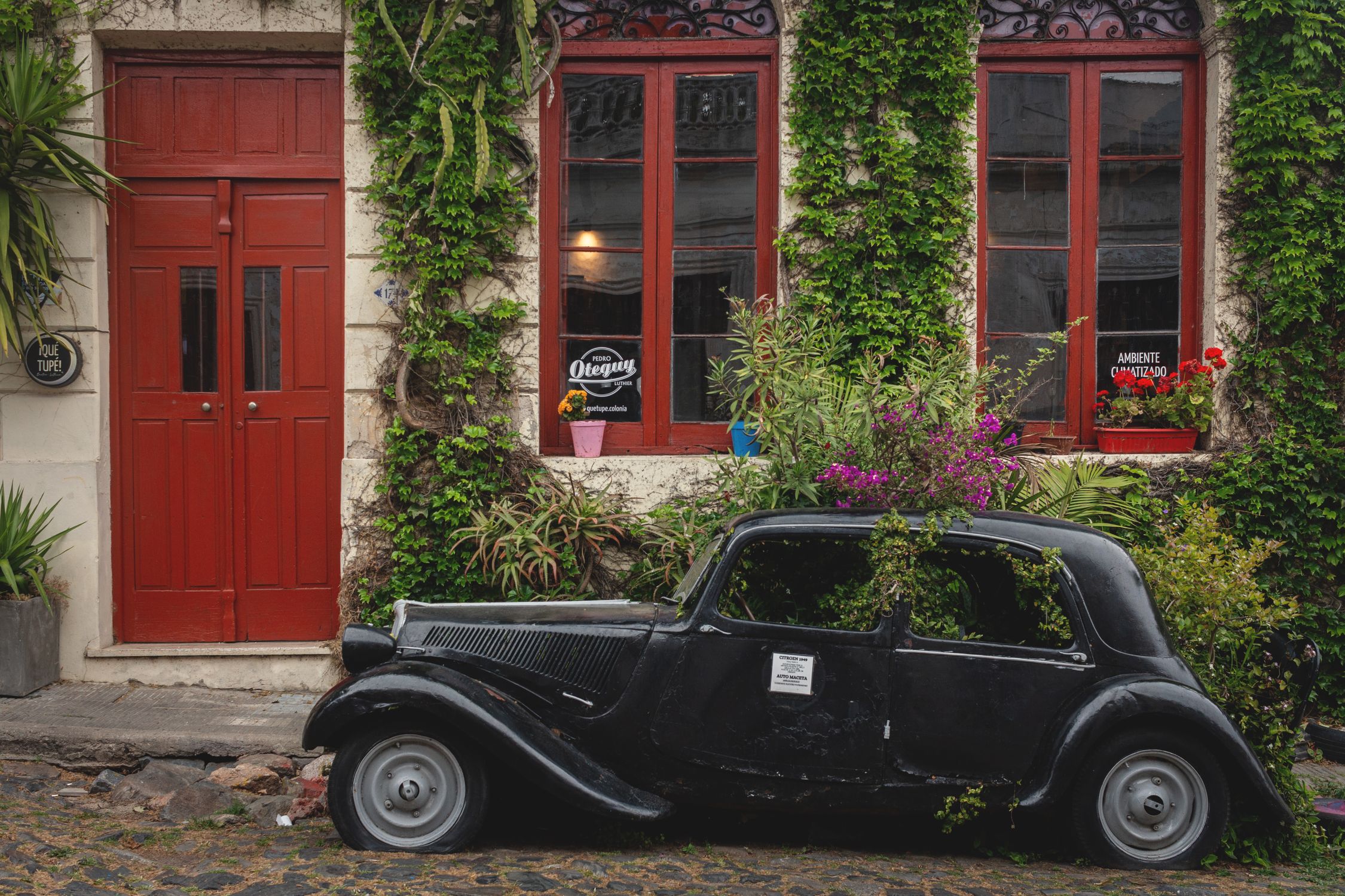 Vintage black car beside ivy-covered colonial facade on cobblestone street in Colonia del Sacramento, Uruguay