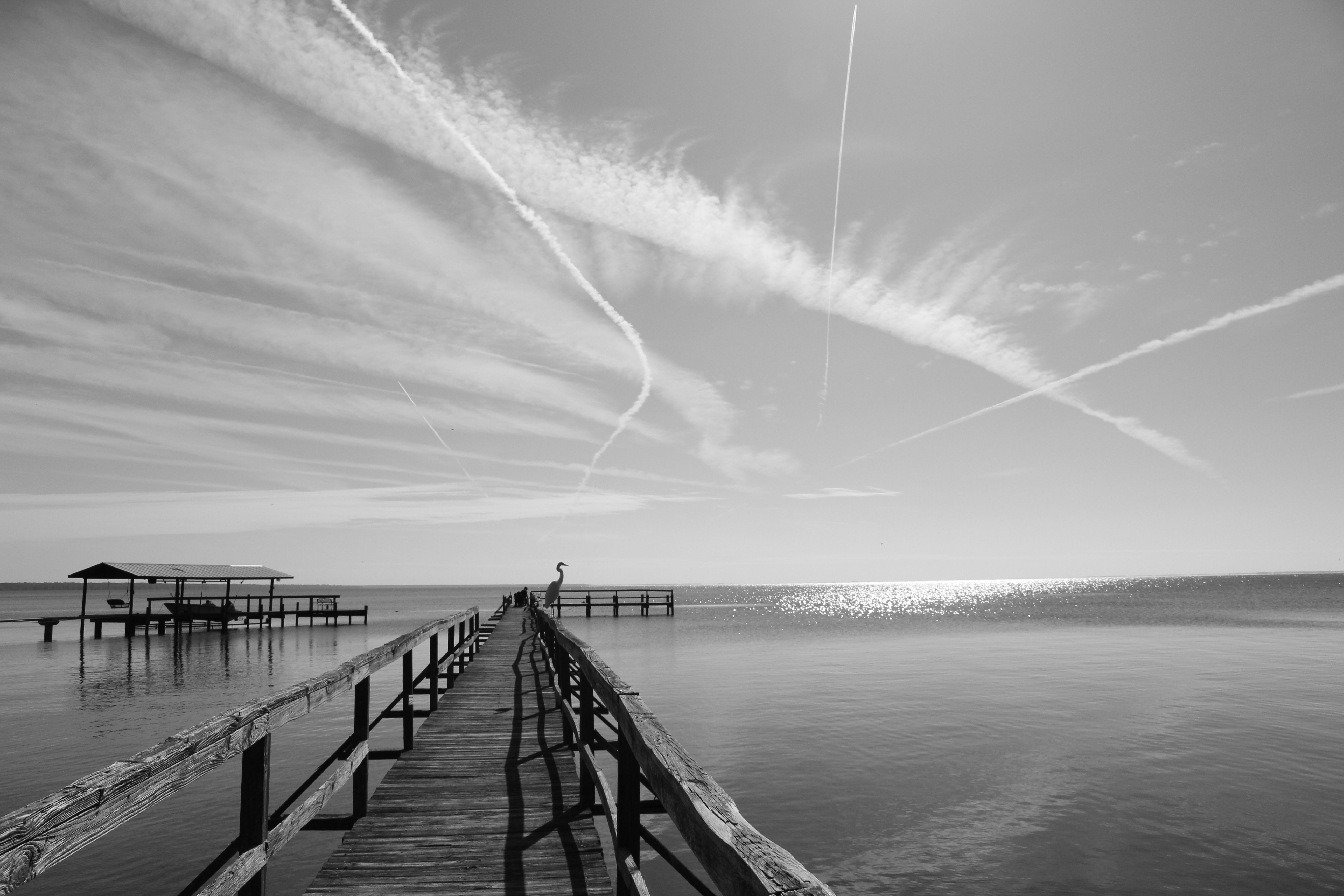 Serene Black and White Lakeside Boardwalk View · Free Stock Photo