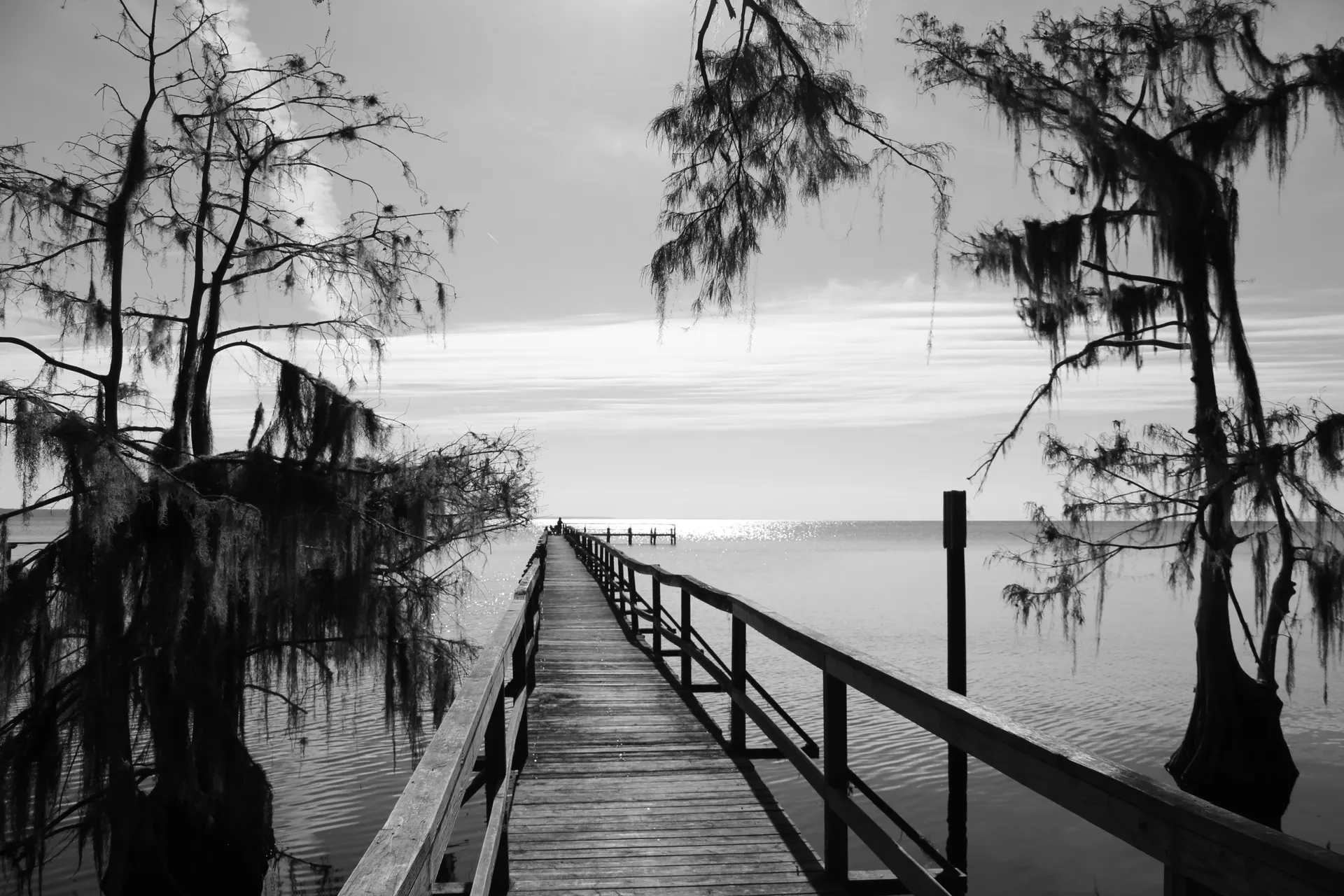 Lake Martin and Cypress Island Preserve: Birding and Walking Guide
