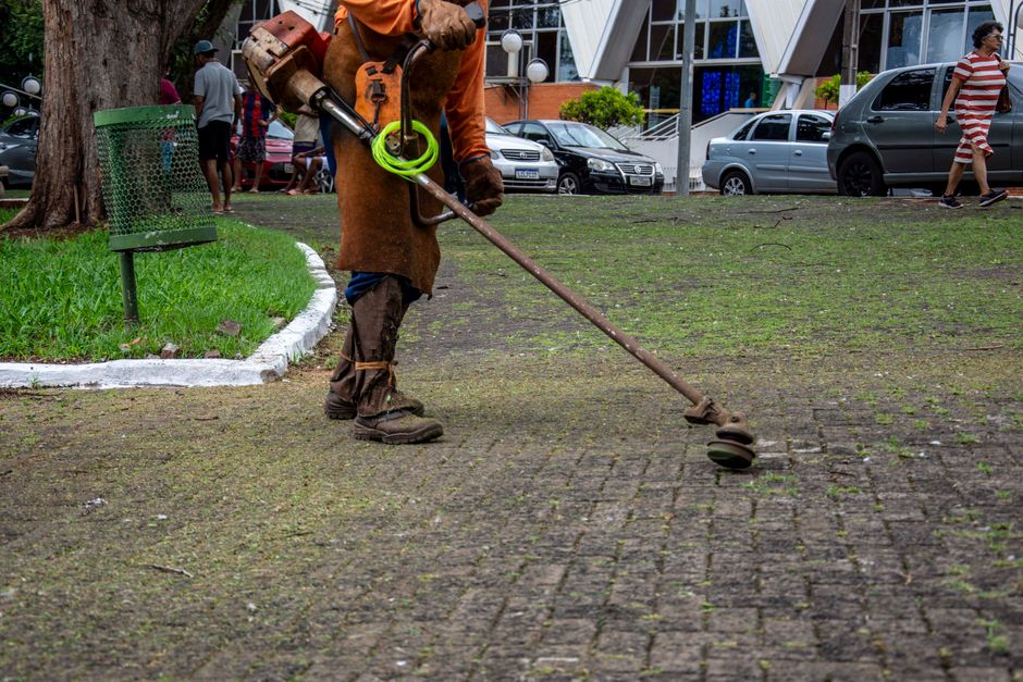 Seasonal Clues: When to Trim for Maximum Health and Aesthetic Appeal